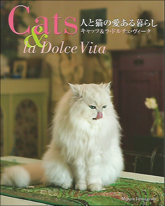 2010_Cat